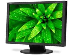 NEC 19 Inch Value Eco-Friendly Desktop Màn hình AS192-BK NEC 19 Inch Value Eco-Friendly Desktop Màn hình AS192-BK