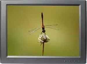 Lillput 8 Inch TFT USB LCD Màn hình UM-80/C Lillput 8 Inch TFT USB LCD Màn hình UM-80/C