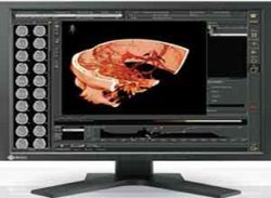 Eizo RadiForce 19 Inch Color LCD Màn hình RS110