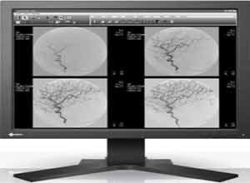 Eizo RadiForce Monochrome LCD Màn hình SMD 19102