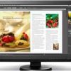 Eizo ColorEdge 24 Inch Màn hình CX240