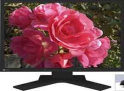 Eizo 19 Inch SlimEdge Display S1921-XSH