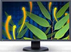 Eizo FlexScan EV EV2436W 24.1 Inch Màn hình LCD