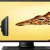 Lenovo ThinkVision LT1952p Wide 19in LED Monitor