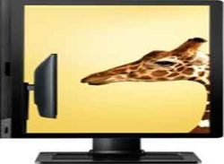 Lenovo ThinkVision LT1952p Wide 19in LED Monitor