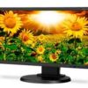 NEC 20 Inch Eco-Friendly Widescreen Desktop Màn hình E201W-BK