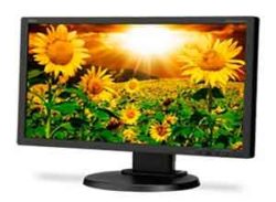 NEC 20 Inch Eco-Friendly Widescreen Desktop Màn hình E201W-BK