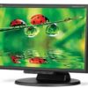 NEC 17 Inch Desktop Màn hình LCD175M-BK with Built-In Speakers