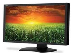 NEC 24 Inch Widescreen Professional Graphics Desktop Màn hình P241W-BK