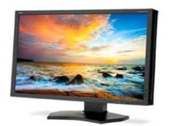 NEC 24" LED Backlit IPS Entry Level Professional Desktop Màn hình P242W-BK