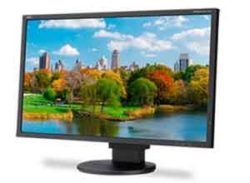 NEC 22" LED-Backlit Desktop Màn hình EA223WM-BK with Adjustable Stand